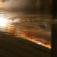 Illustration for article titled Abandoned Shipyard Halls Look Magical After Heavy Rain